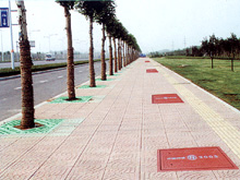 城市建設(shè)--人行道